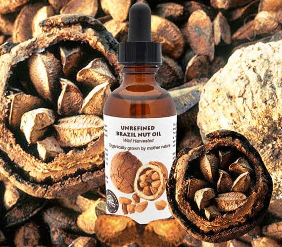 image-Virgin Brazil Nut Oil (organic, undiluted,