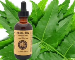 image-100% Pure Neem Oil 4oz (organic, undiluted,
