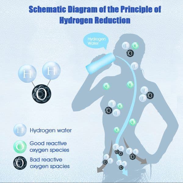 image-Hydrogen Oxygen Separation Hydrogen Rich Water Cup Gift