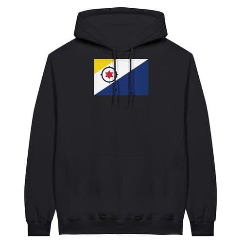 image-Drapeau des Pays-Bas caribéens - Sweat à capuche unisexe | Bella +