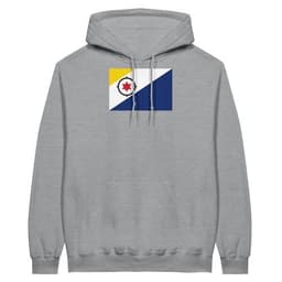 image-Drapeau des Pays-Bas caribéens - Sweat à capuche unisexe | Bella +