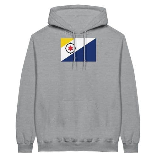 image-Drapeau des Pays-Bas caribéens - Sweat à capuche unisexe | Bella +