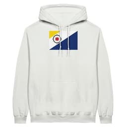 image-Drapeau des Pays-Bas caribéens - Sweat à capuche unisexe | Bella +