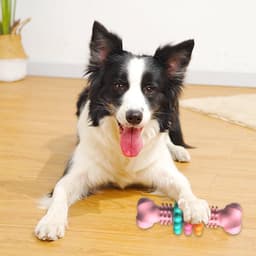 image-Dog Chew Toy Dog Bone Type Dogs Teeth Cleaning Toys Indestructible TPR Bone Chewing Bite Resistant Teething Toys Pet Products