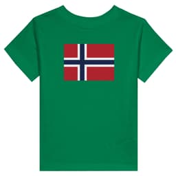 image-Drapeau de l'île Bouvet - T-shirt de base pour enfant | Bella + Canvas