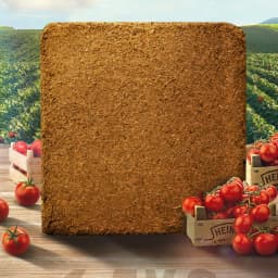 image-Coconut Bran Flower Succulent Seedling Vegetable Flower Green Plant Soilless Cultivation Substrate Coconut Shell Brick