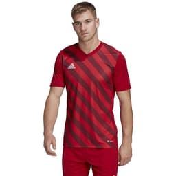 image-Adidas Entrada 22 Graphic Jersey M HB0572