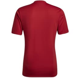 image-Adidas Entrada 22 Graphic Jersey M HB0572