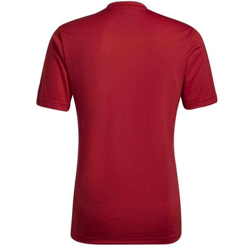 image-Adidas Entrada 22 Graphic Jersey M HB0572