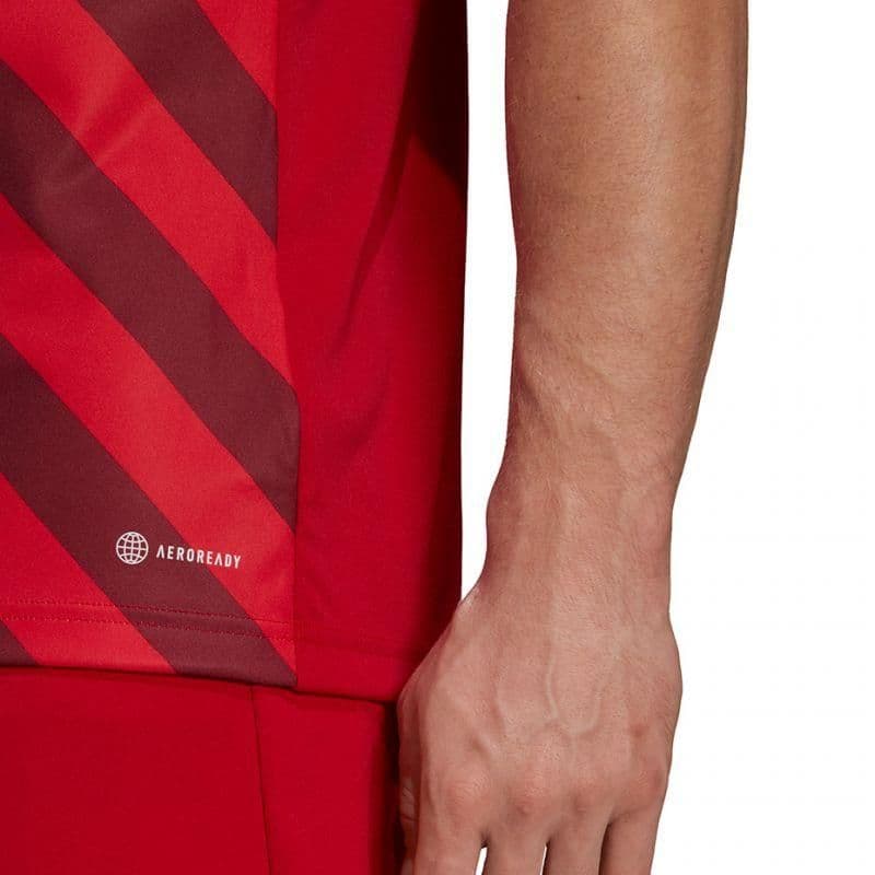 image-Adidas Entrada 22 Graphic Jersey M HB0572