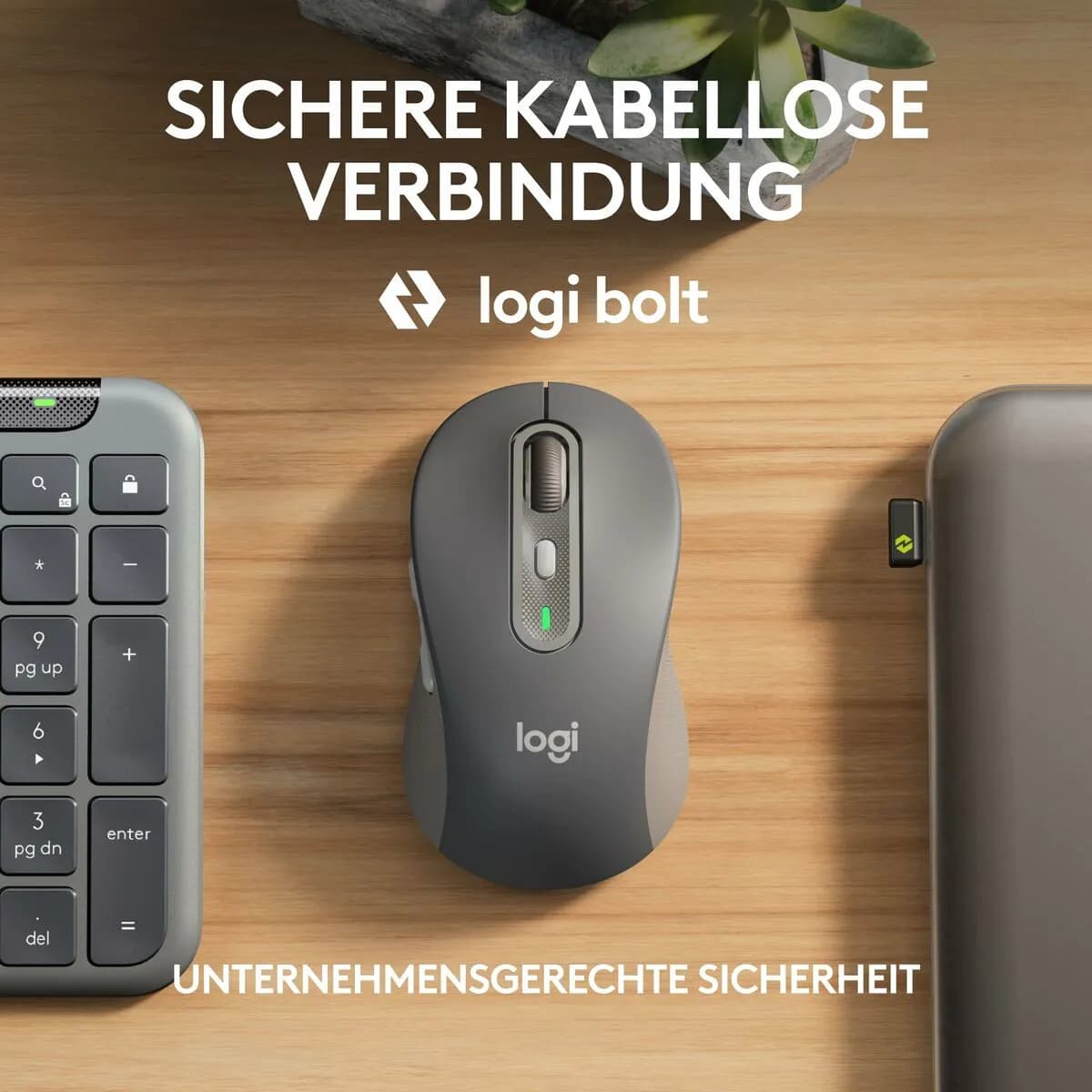 image-Keyboard and Mouse Logitech 920-012504 Graphite German QWERTZ