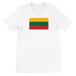 image-Drapeau de la Lituanie - T-shirt unisexe premium ras du cou