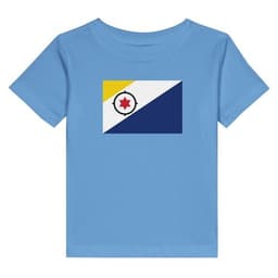image-Drapeau des Pays-Bas caribéens - T-shirt en jersey de coton pour