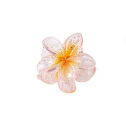 image-Cross-border Amazon's new 4CM transparent glitter hairpin small plumeria grabber female Korean style bangs side clip