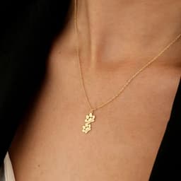 image-European and American cross-border best-selling simple pet footprint necklace with personalized name