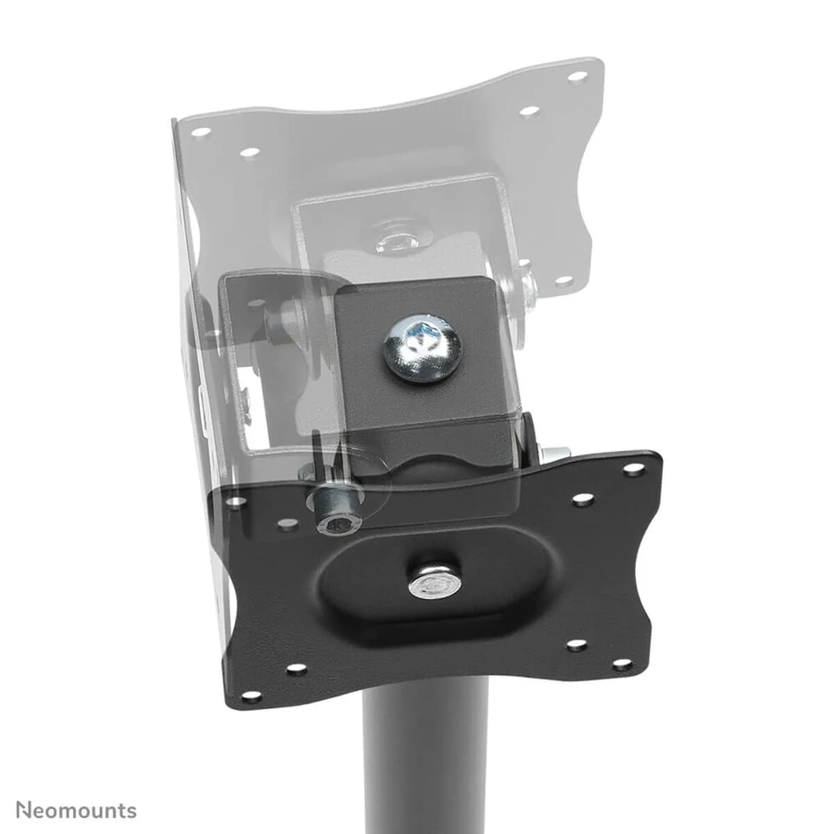 image-TV Mount Neomounts NS-DPOS100BLACK 10-32" 10" 32" 15 kg