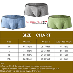 image-Men's Sexy Underwear Low waist Briefs U Pouch Boxers Striped Shorts