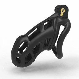 image-Male Chastity Cage Lock Device Kit W/ 4 Rings Virginity Device 5 Sizes
