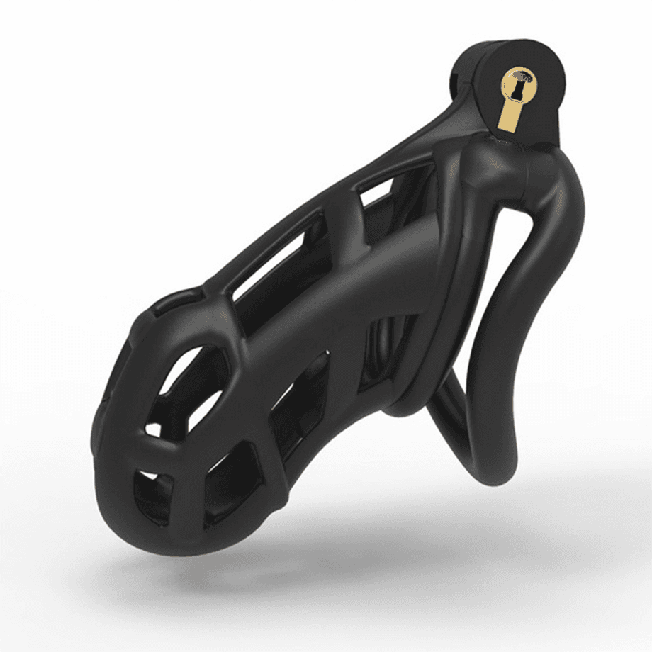 image-Male Chastity Cage Lock Device Kit W/ 4 Rings Virginity Device 5 Sizes