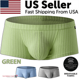 image-Men's Sexy Underwear Low waist Briefs U Pouch Boxers Striped Shorts
