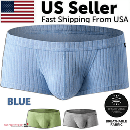 image-Men's Sexy Underwear Low waist Briefs U Pouch Boxers Striped Shorts