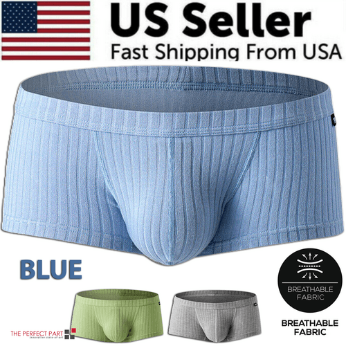 image-Men's Sexy Underwear Low waist Briefs U Pouch Boxers Striped Shorts