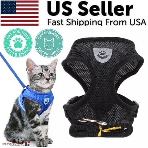 image-Cat Dog Pet Harness Adjustable Control Vest Dogs Reflective S M L XL