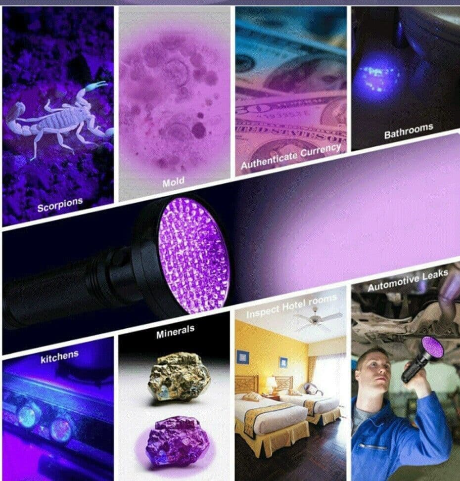 image-UV Ultraviolet Light 100 LED Flashlight BlackLight 395nM Inspection
