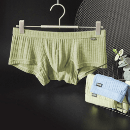 image-Men's Sexy Underwear Low waist Briefs U Pouch Boxers Striped Shorts