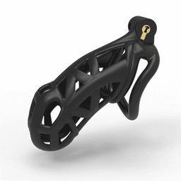 image-Male Chastity Cage Lock Device Kit W/ 4 Rings Virginity Device 5 Sizes