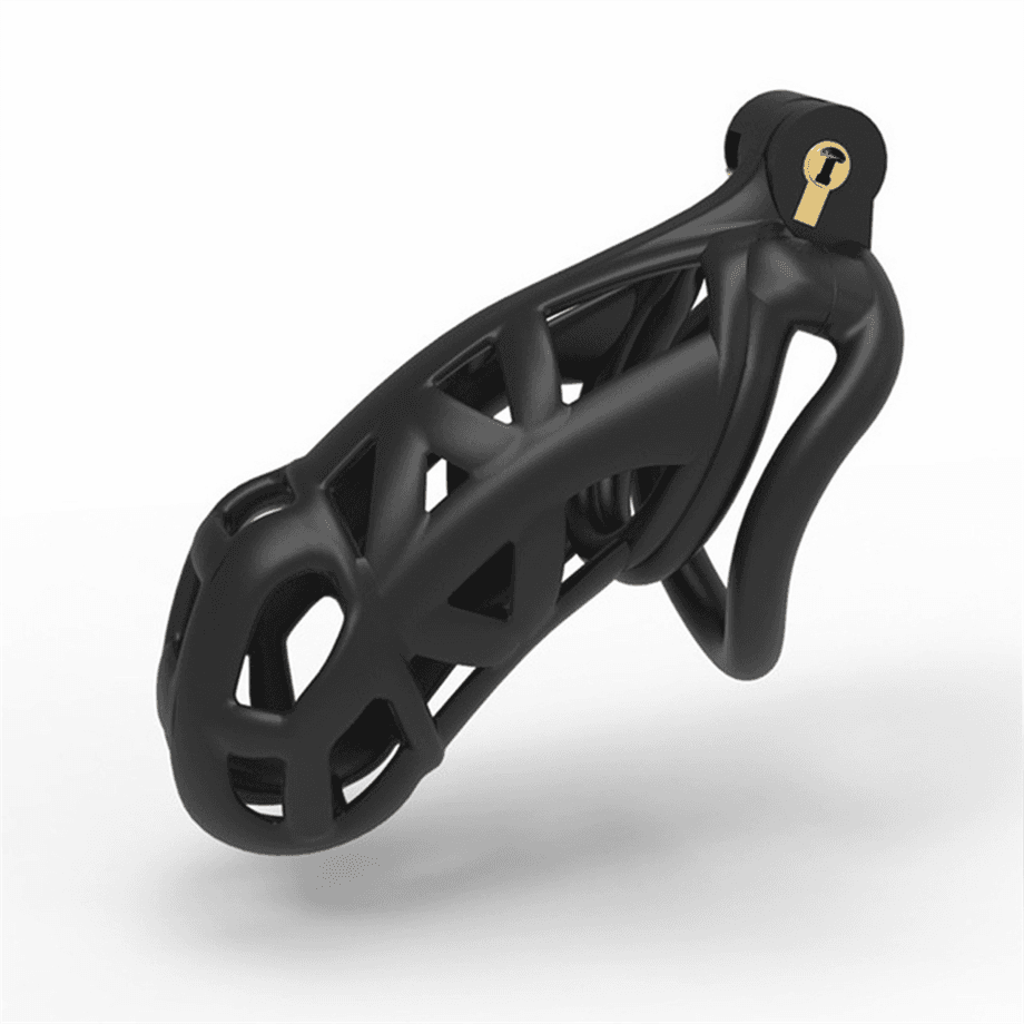 image-Male Chastity Cage Lock Device Kit W/ 4 Rings Virginity Device 5 Sizes