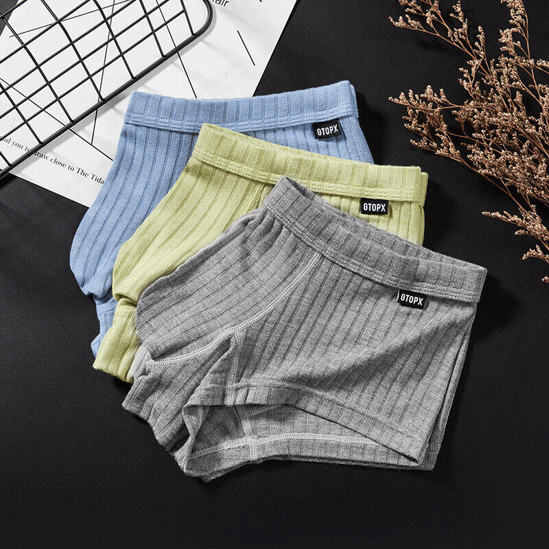 image-Men's Sexy Underwear Low waist Briefs U Pouch Boxers Striped Shorts