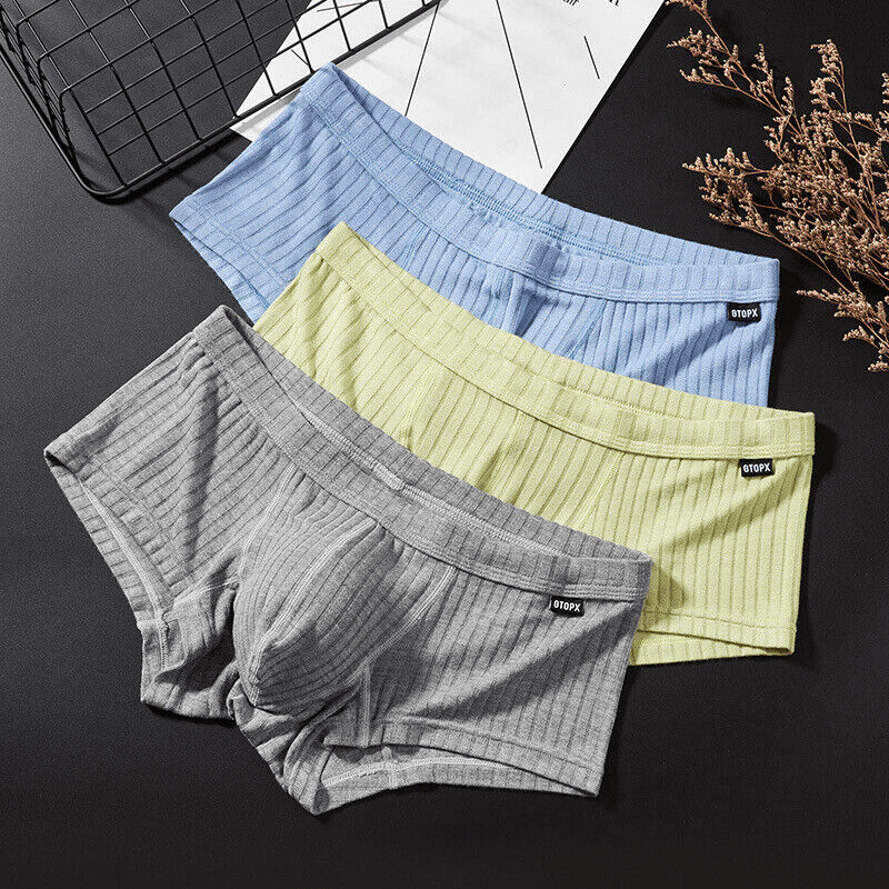 image-Men's Sexy Underwear Low waist Briefs U Pouch Boxers Striped Shorts