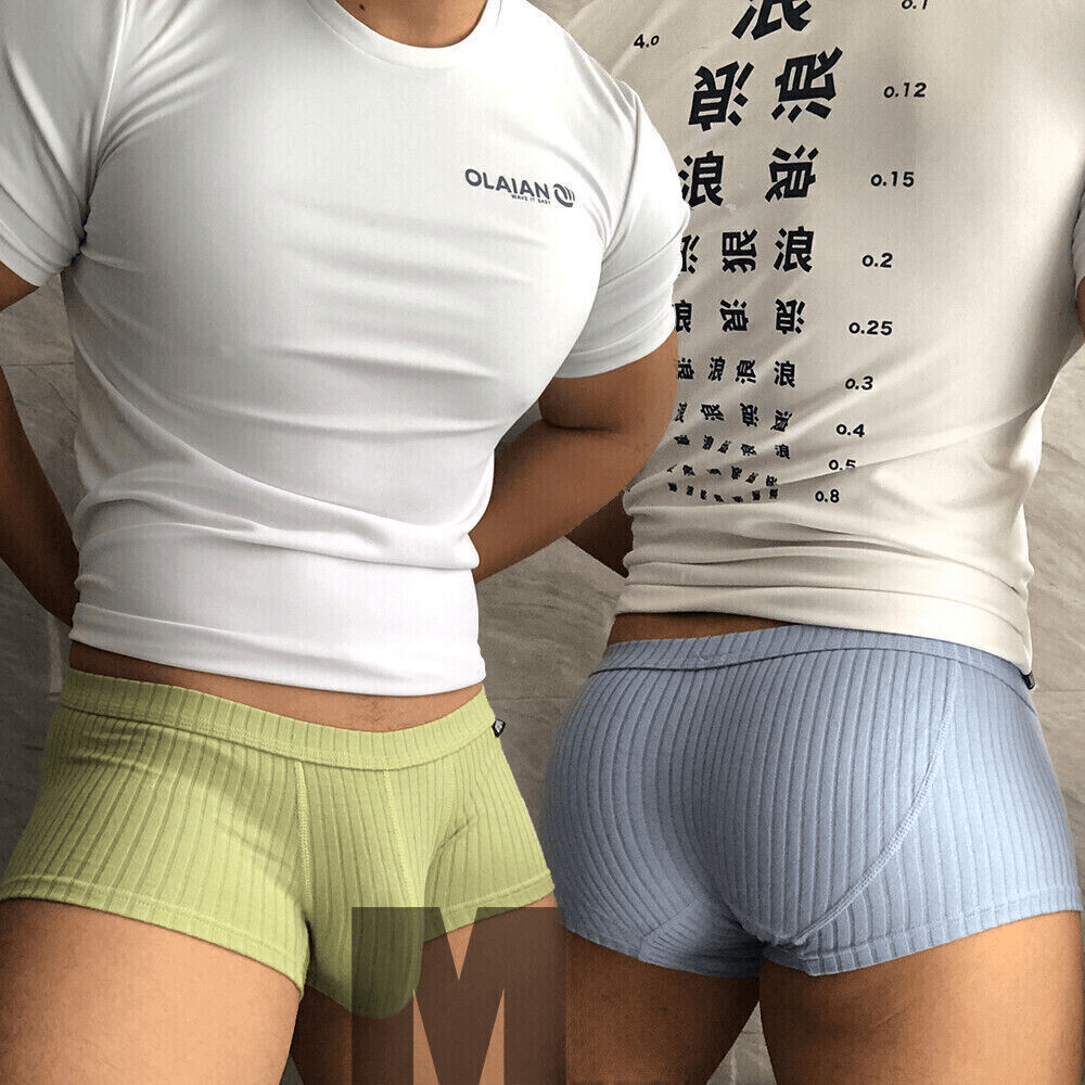 image-Men's Sexy Underwear Low waist Briefs U Pouch Boxers Striped Shorts