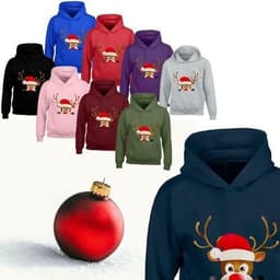image-Kids XMAS1 "Hiding Reindeer" Hoodie