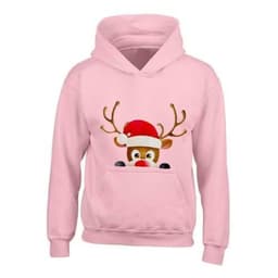 image-Kids XMAS1 "Hiding Reindeer" Hoodie
