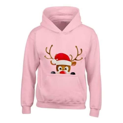 image-Kids XMAS1 "Hiding Reindeer" Hoodie