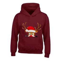 image-Kids XMAS1 "Hiding Reindeer" Hoodie