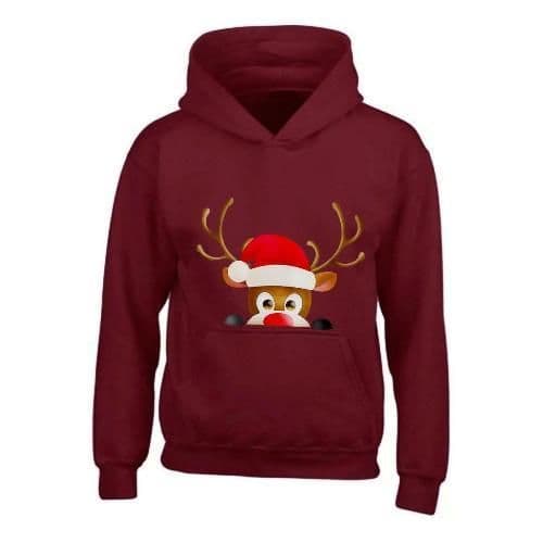 image-Kids XMAS1 "Hiding Reindeer" Hoodie