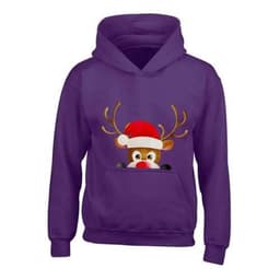 image-Kids XMAS1 "Hiding Reindeer" Hoodie