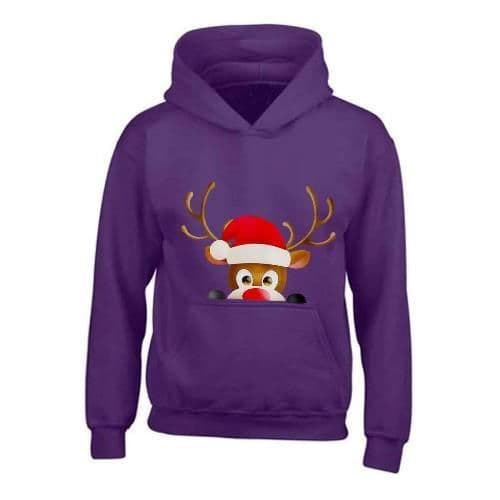 image-Kids XMAS1 "Hiding Reindeer" Hoodie