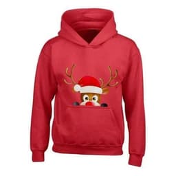 image-Kids XMAS1 "Hiding Reindeer" Hoodie