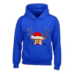 image-Kids XMAS1 "Hiding Reindeer" Hoodie