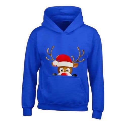 image-Kids XMAS1 "Hiding Reindeer" Hoodie