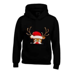 image-Kids XMAS1 "Hiding Reindeer" Hoodie