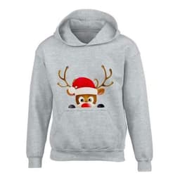 image-Kids XMAS1 "Hiding Reindeer" Hoodie