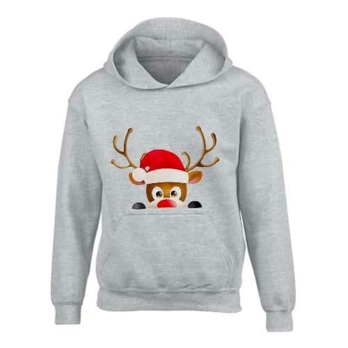 image-Kids XMAS1 "Hiding Reindeer" Hoodie