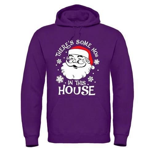 image-Adults XMS5 "There's Some Hos in This House" Hoodie