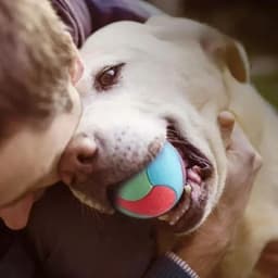 image-Solid Rubber Dog Balls for Dogs Virtually Indestructible Pet Dog Interactive Toy Training Chew Play Fetch Bite Toys