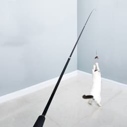 image-Pet Toy Cat-teasing Stick Extendable 180cm Rod Feather Replacement Head Adjustable Extendable Cat-teasing Stick Fishing Cat Toy